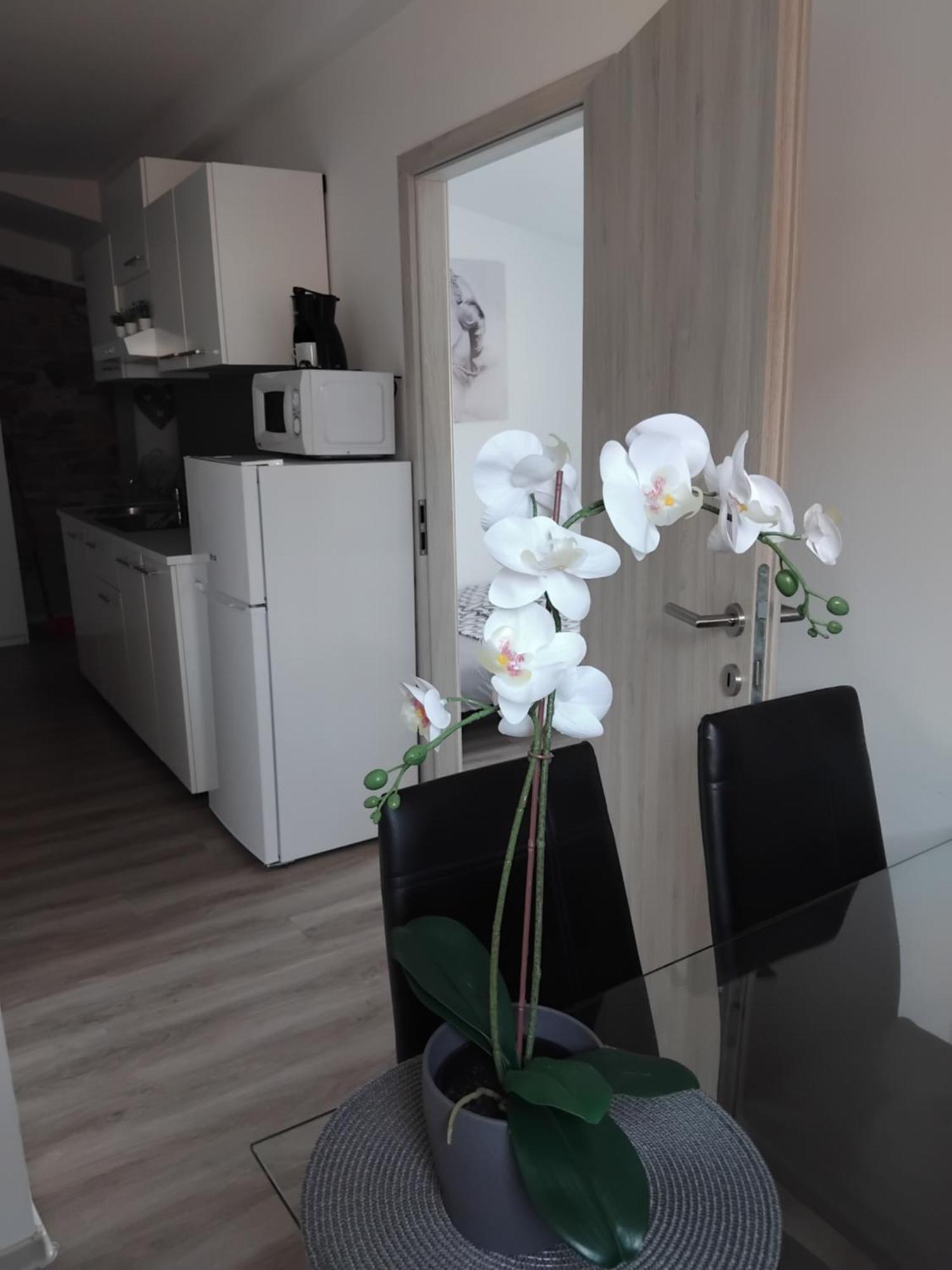 Apartmaja Eva&Pia Koper Dış mekan fotoğraf